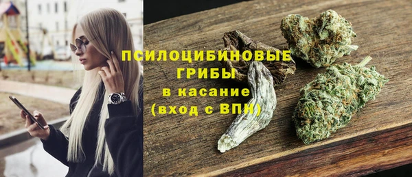 мдпв Армянск