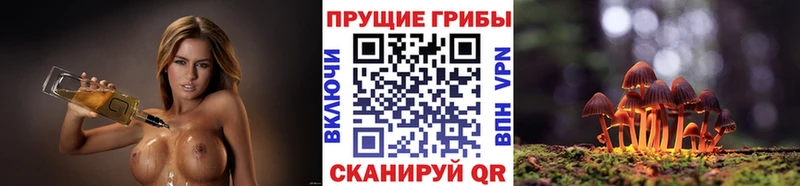 ссылка на мегу маркетплейс  Мамадыш  Галлюциногенные грибы GOLDEN TEACHER 